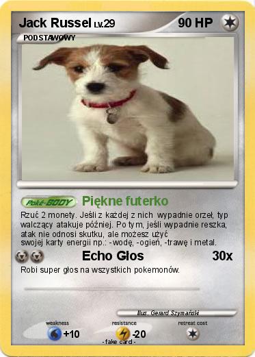 Pokemon Jack Russel