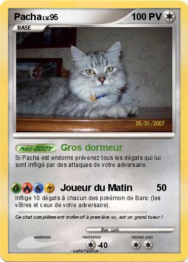 Pokemon Pacha