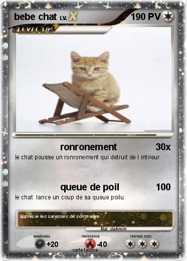 Pokemon bebe chat