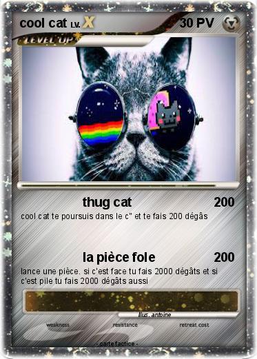 Pokemon cool cat