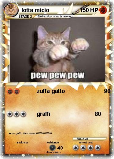Pokemon lotta micio