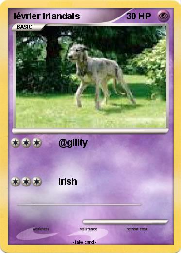 Pokemon lévrier irlandais
