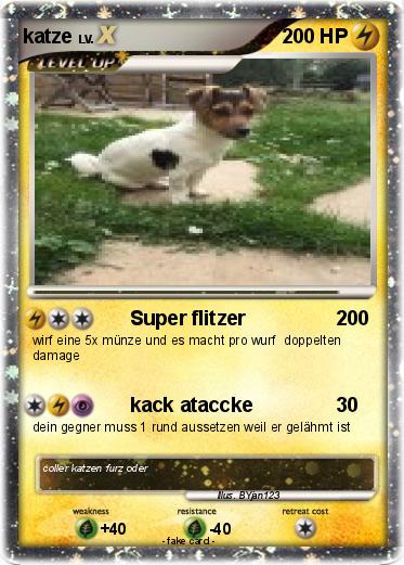 Pokemon katze