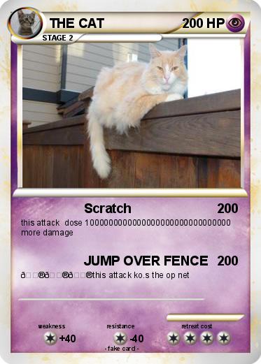 Pokemon THE CAT