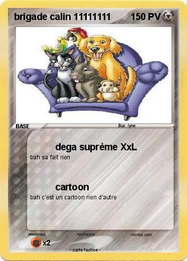 Pokemon brigade calin 11111111