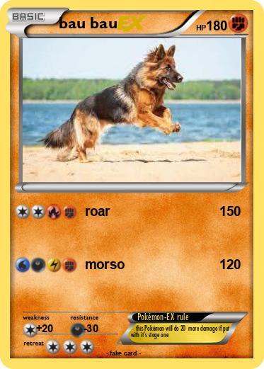 Pokemon bau bau