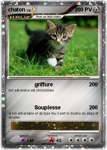 Pokemon chaton