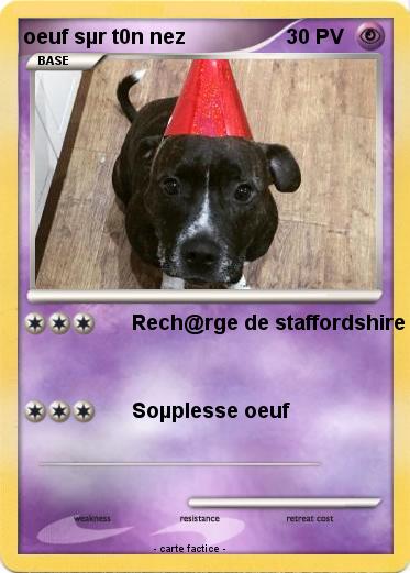 Pokemon oeuf sµr t0n nez