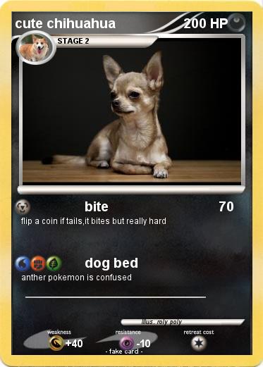 Pokemon cute chihuahua