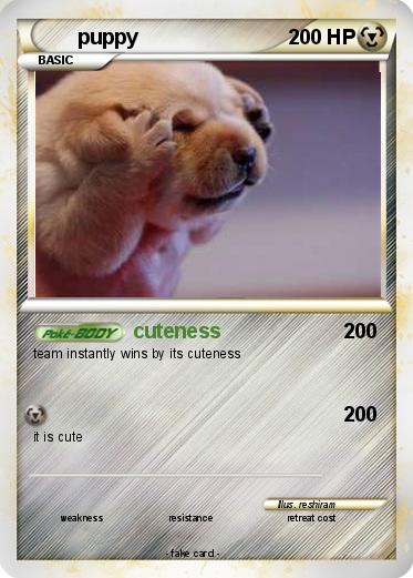 Pokemon puppy
