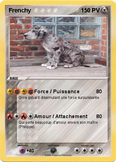 Pokemon Frenchy