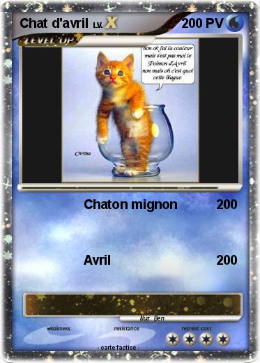 Pokemon Chat d'avril