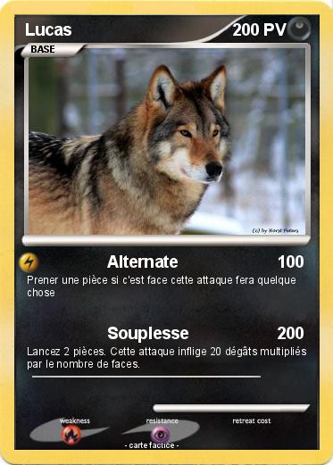 Pokemon Lucas