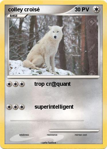 Pokemon colley croisé