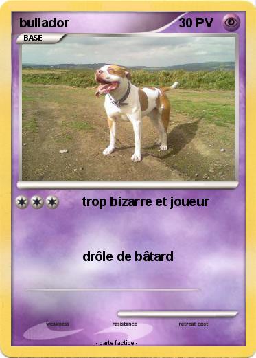 Pokemon bullador