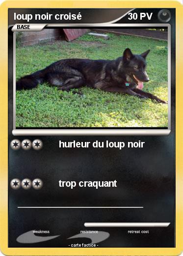Pokemon loup noir croisé