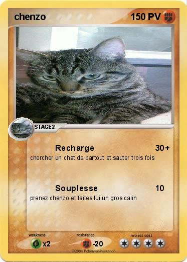 Pokemon chenzo