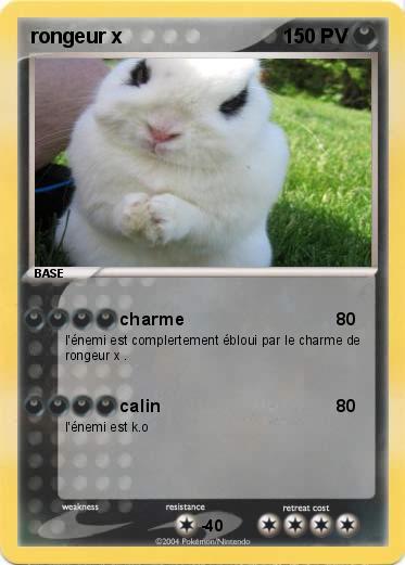 Pokemon rongeur x           