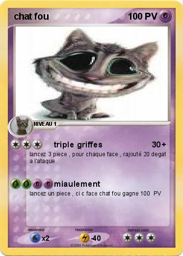 Pokemon chat fou