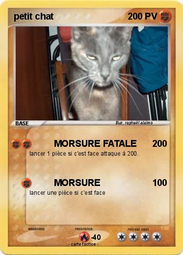 Pokemon petit chat