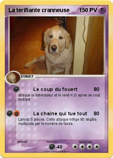 Pokemon La terifiante cranneuse