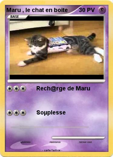 Pokemon Maru , le chat en boite