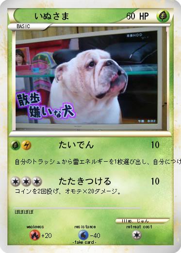 Pokemon いぬさま