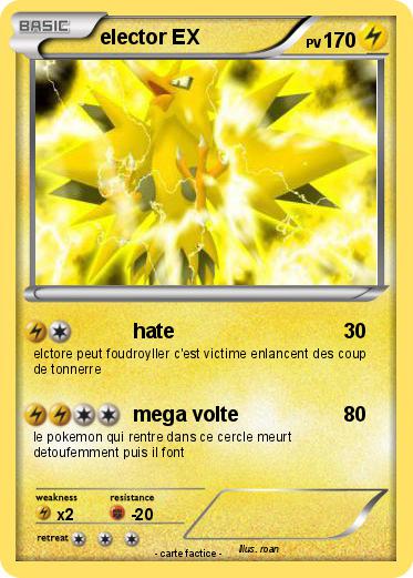 Pokemon elector EX