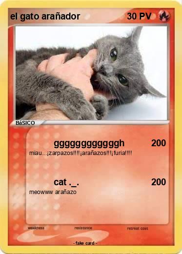 Pokemon el gato arañador