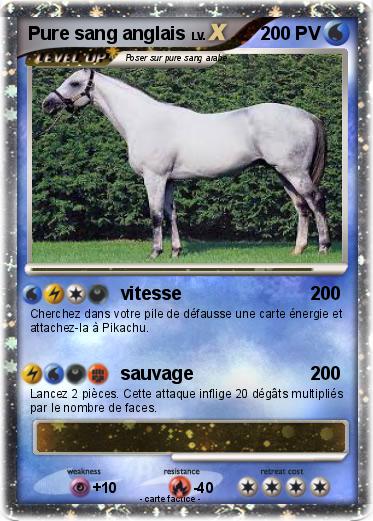 Pokemon Pure sang anglais