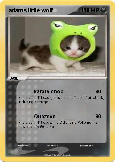 Pokemon adams little wolf