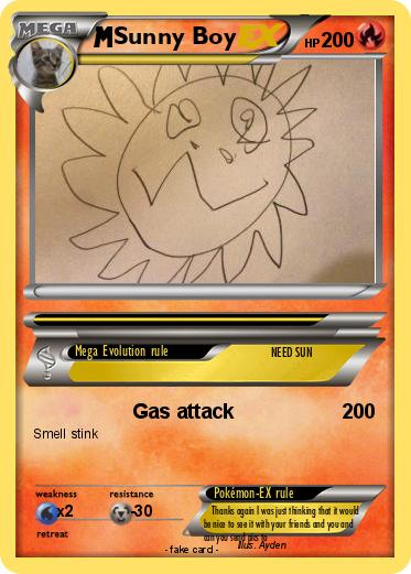 Pokemon Sunny Boy