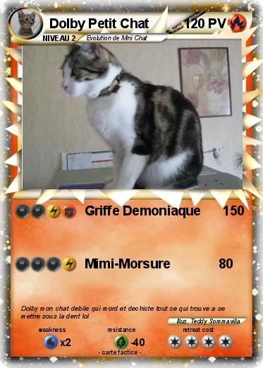 Pokemon Dolby Petit Chat