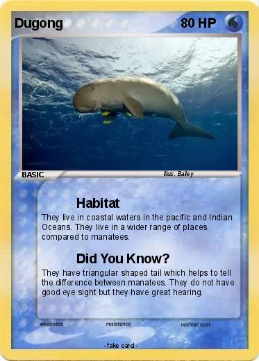 Pokemon Dugong