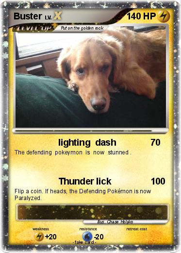 Pokemon Buster