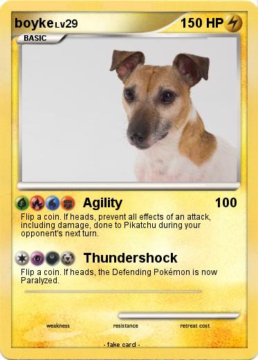 Pokemon boyke