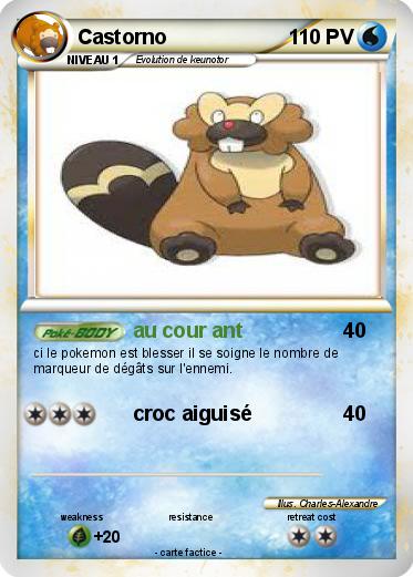 Pokemon Castorno