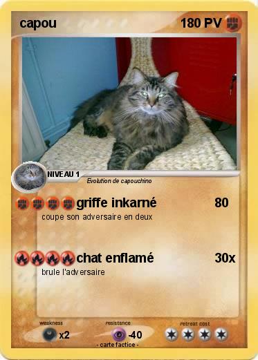 Pokemon capou