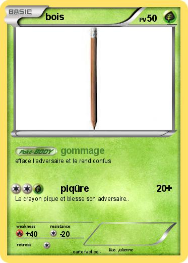 Pokemon bois