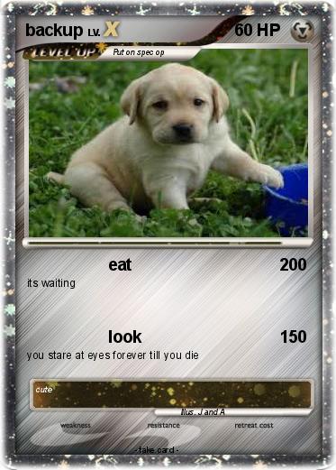 Pokemon backup