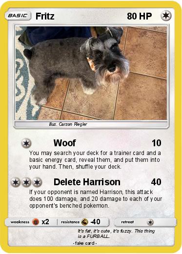 Pokemon Fritz