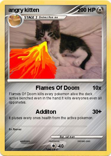 Pokemon angry kitten