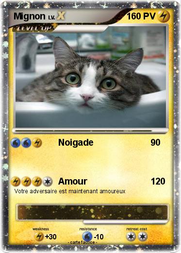 Pokemon Mignon