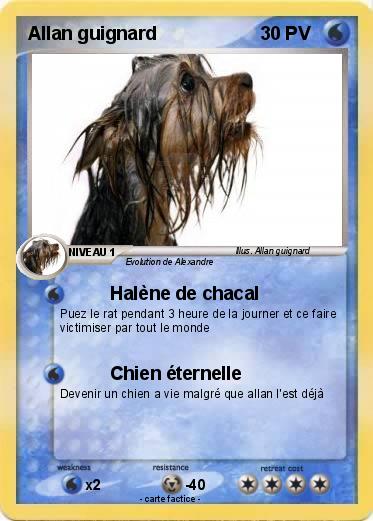 Pokemon Allan guignard