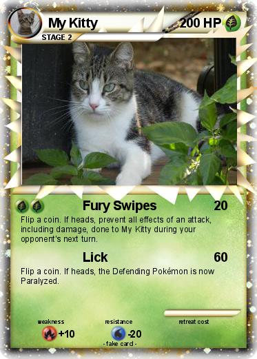 Pokemon My Kitty