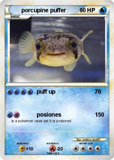 Pokemon porcupine puffer