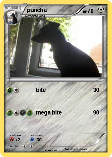 Pokemon puncha