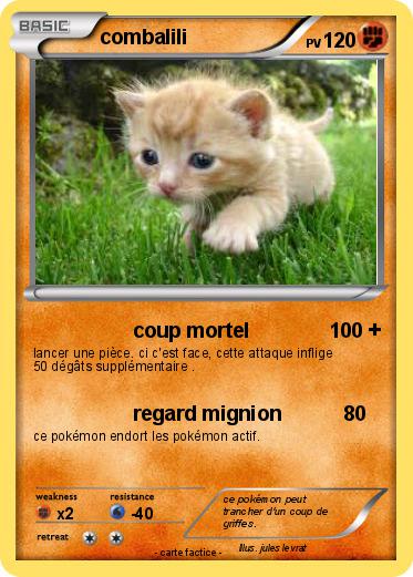 Pokemon combalili