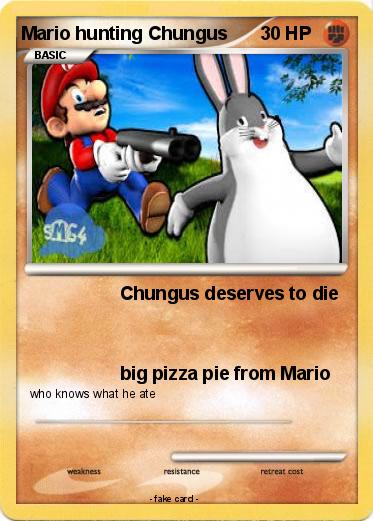 Pokemon Mario hunting Chungus