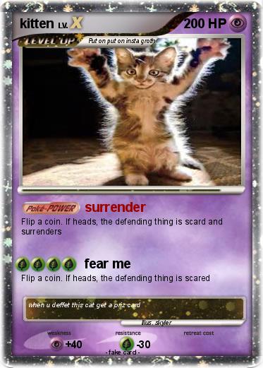 Pokemon kitten
